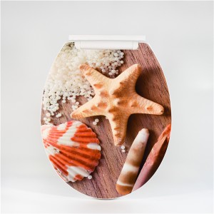 PP Toilet Seat – Starfish Type