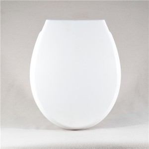 PP Toilet Seat – Family 01